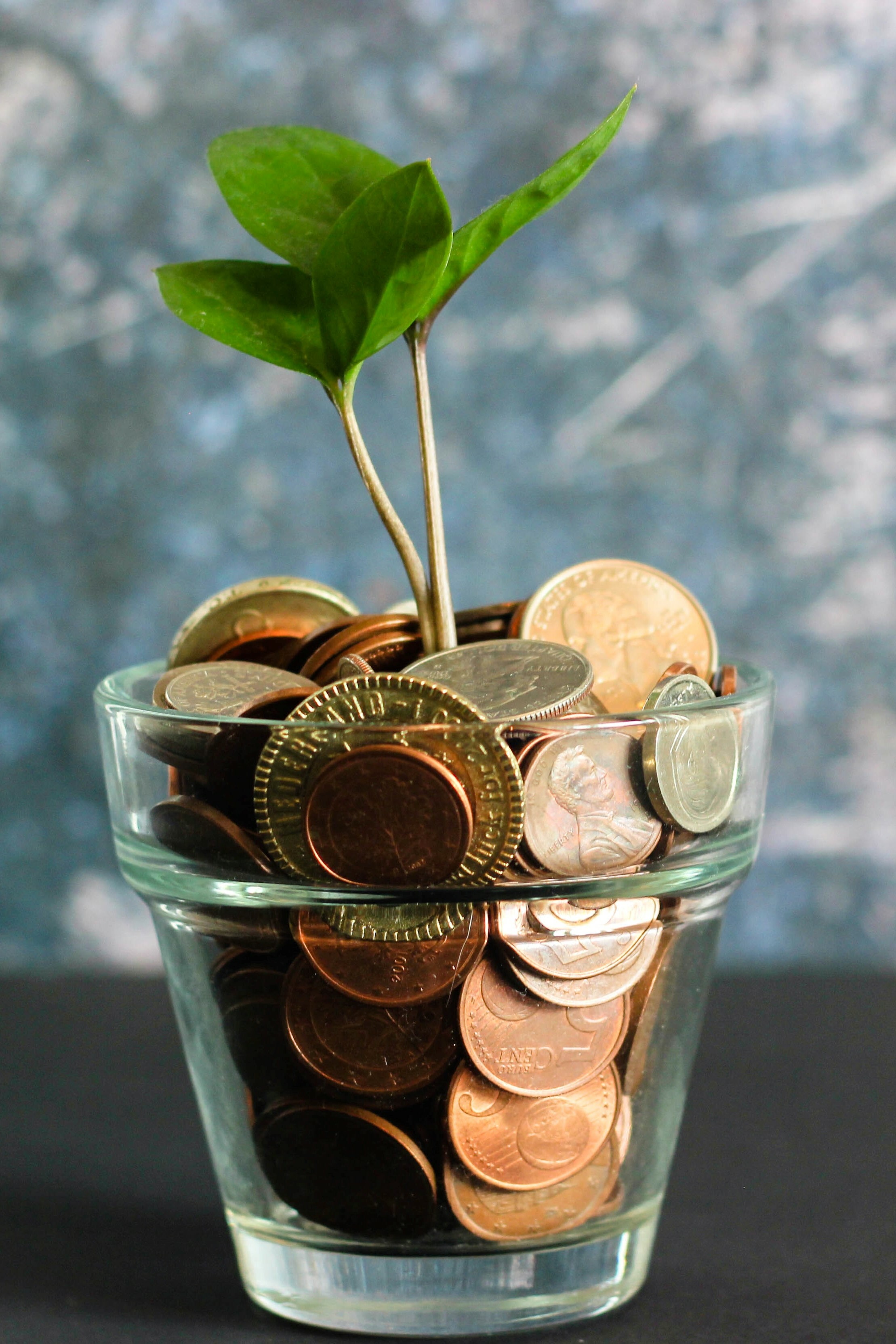 Crowdfunding